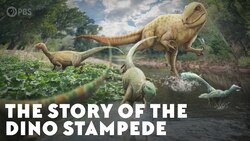 The Story of the Dino Stampede Instructional Video