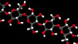 Biomass - Green Revolution Instructional Video