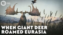 When Giant Deer Roamed Eurasia Instructional Video