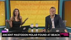 In Case You Missed It: New Asteroid Discovered Trailing Earth for 2,000 Years News Clip