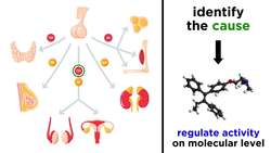 Introduction to Pharmacology Instructional Video