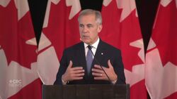 Promise of federal immigration changes raises concerns for rural businesses News Clip