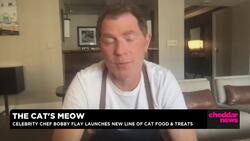 Celebrity Chef Bobby Flay Launches 'Made By Nacho' Cat Product Line Developed With His Cat News Clip