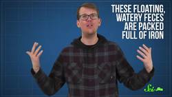 Whale Poop Helps Cool Our Planet Instructional Video