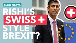Swiss Style Brexit: Is Sunak Un-doing Brexit? Instructional Video