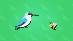 I WONDER - What Is The Smallest Bird In The World? Me Pregunto - Cuál Es El Ave Más Pequeña Del Mundo? Instructional Video