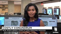 Video Series Follows Women Grappling with Decision to Freeze Eggs News Clip