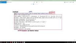 The Complete Ethical Hacking Bootcamp: Beginner To Advanced - HTTP Requests Instructional Video