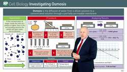 Investigating the Effects of Sugar Solutions on the Mass of Plant Material through Osmosis Experiment Instructional Video