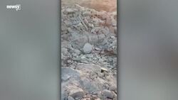 Trump Confirms ISIS Leader Abu Bakr al-Baghdadi Is Dead After Raid News Clip