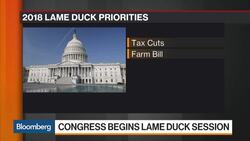 Government Funding Tops Contentious To-Do List in Lame Duck Session News Clip
