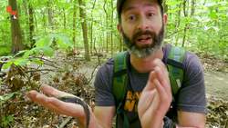 Salamander Smiles for Camera! Instructional Video