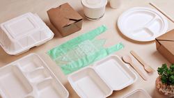 Take Action for Climate Action (Ages 11 - 17) Instructional Video