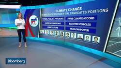 Where Democratic Presidential Candidates Stand on Climate Change News Clip