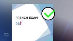 Ukrainians in Quebec worry they won't learn French before their work permits expire News Clip