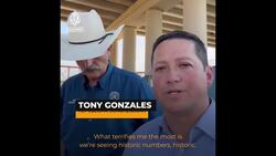 Elon Musk visits US border to livestream on migrant issues News Clip