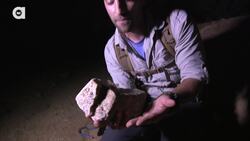 Ahhh!!! Camel Spider Chews My Finger! Instructional Video