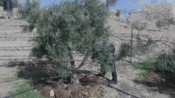 Wastewater treatment systems save farmers' water News Clip