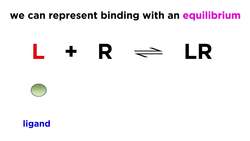 Pharmacodynamics Mechanisms of Drug Action Instructional Video