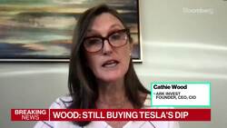 Cathie Wood on Market 'Broadening Out,' Tesla, Retail Investors News Clip