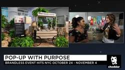 The Future of Retail: Bringing Humanity Back with Brandless News Clip