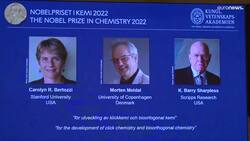 'Click chemistry' and quantum weirdness: How this year's Nobel Prizes could change our lives News Clip