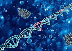 Genetic engineering Instructional Video