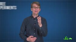 Underwater Discovery and Adventure: The Story of Jacques Cousteau Instructional Video