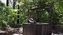 Old Wooden Water Well Moving Towards it Video Stock Footage