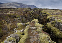 Límite de placa Instructional Video