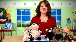 Sorting by Attribute Instructional Video