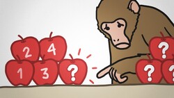 Why Monkeys Can Only Count To Four Instructional Video