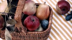 Basket with fruits in sunlight from above. Stock Footage