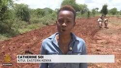 Kenya locust threat: Fears second wave will be worse for harvests News Clip