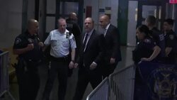 Andrea Riseborough on working with Harvey Weinstein: 'The whole experience was a difficult one' News Clip