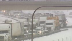 Bad drivers or just bad habits? News Clip