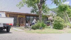 A Day in Life of Modern Japanese Bee Farmer Collecting Fresh Honey Instructional Video