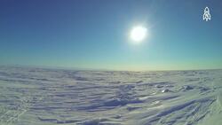 Wesley Larson, From Montana to "Griz Kid", A Journey in Wildlife Conservation Instructional Video