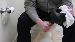 How to Fix a Clogged Toilet Instructional Video
