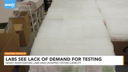 Newsy Investigation: Frustrated Labs Explain Untapped Testing Capacity News Clip