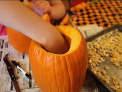 Plant Life Cycles: Reproducing Instructional Video