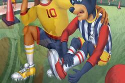 Picture This Instructional Video