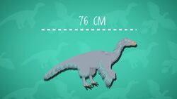 I WONDER - Where Did The Microraptor Hunt? Instructional Video