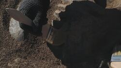 High Five Facts - Iguanadon Instructional Video