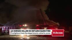 Tough battle at deadly horse barn fire News Clip