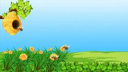 Where do Insects Live? Instructional Video