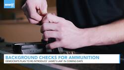 Democrats To Reintroduce Bill On Background Checks For Ammo Sales News Clip