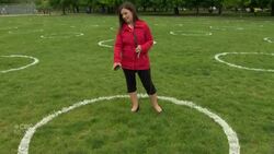 Toronto park paints physical distancing circles News Clip