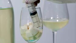 Reusing and Reconsidering Food Waste Instructional Video