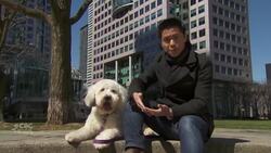 Can my pet spread COVID-19? News Clip